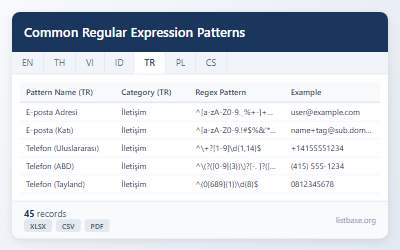 Temel Düzenli İfade Desenleri Veri Kümesi